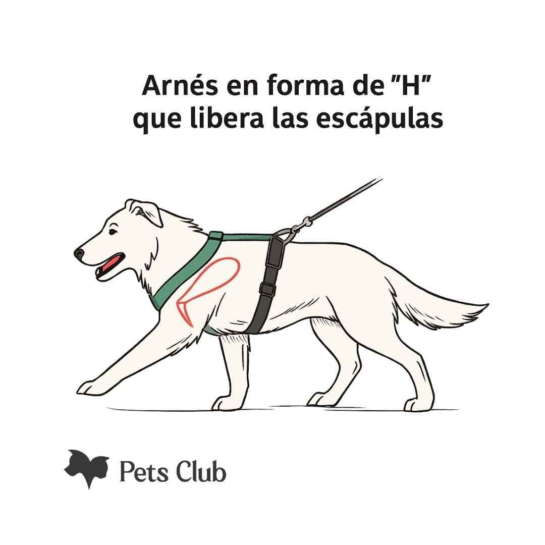Arnes H Pets Club Confort