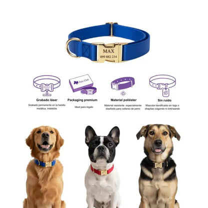 Collar Pets Club Hebilla Grabada