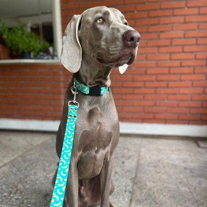 Collar Banana (Perro)