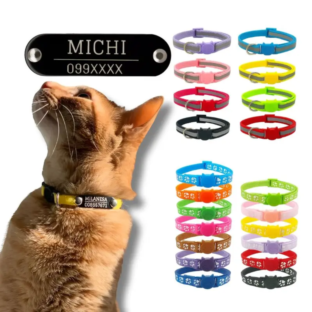 Collar Remachado (Gato)