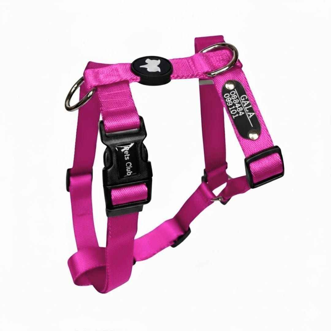 Arnes H Pets Club Confort