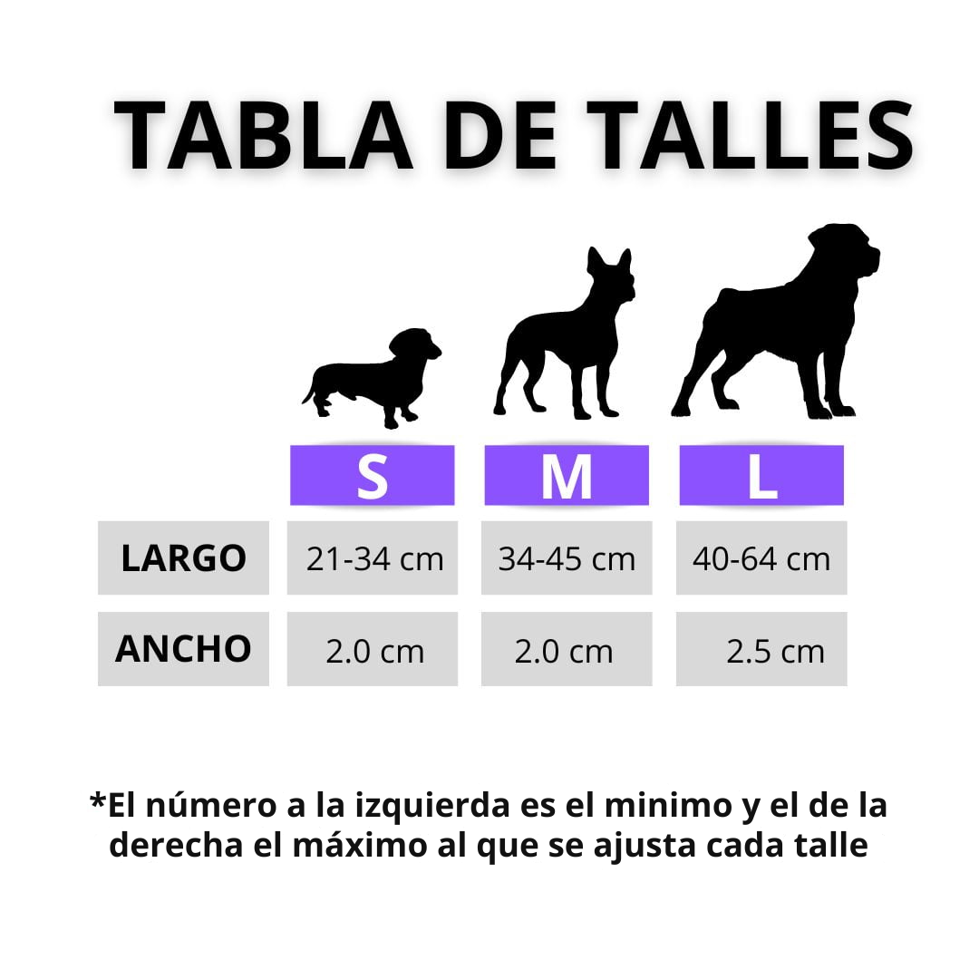 Collar Space (Perro)