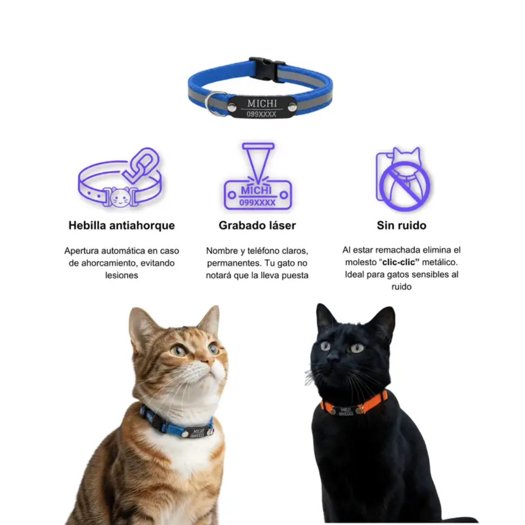 Collar Remachado (Gato)