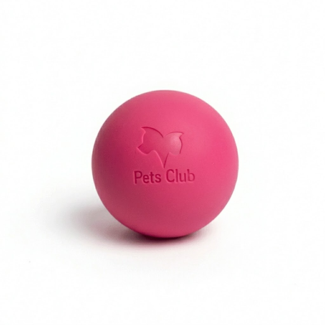 Pelota Maciza Pets Club