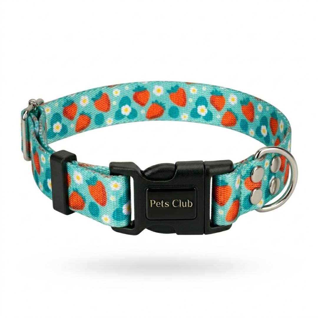 Collar Fresas (Perro)