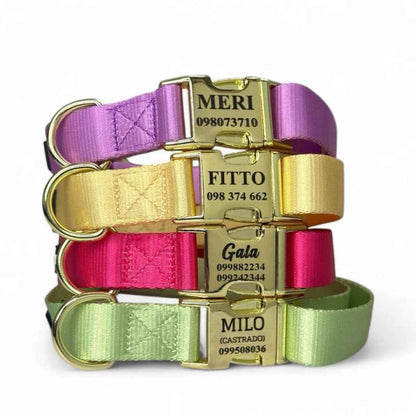 Collar Pets Club Hebilla Grabada
