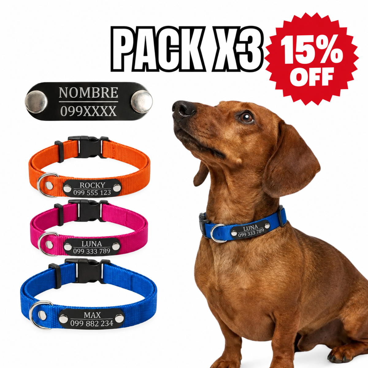 Pack x3 collares remachados para perro - Pets Club