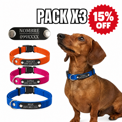 Pack x3 collares remachados para perro - Pets Club