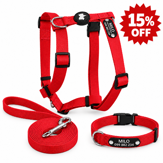 Pack Arnes H + Correa + Collar