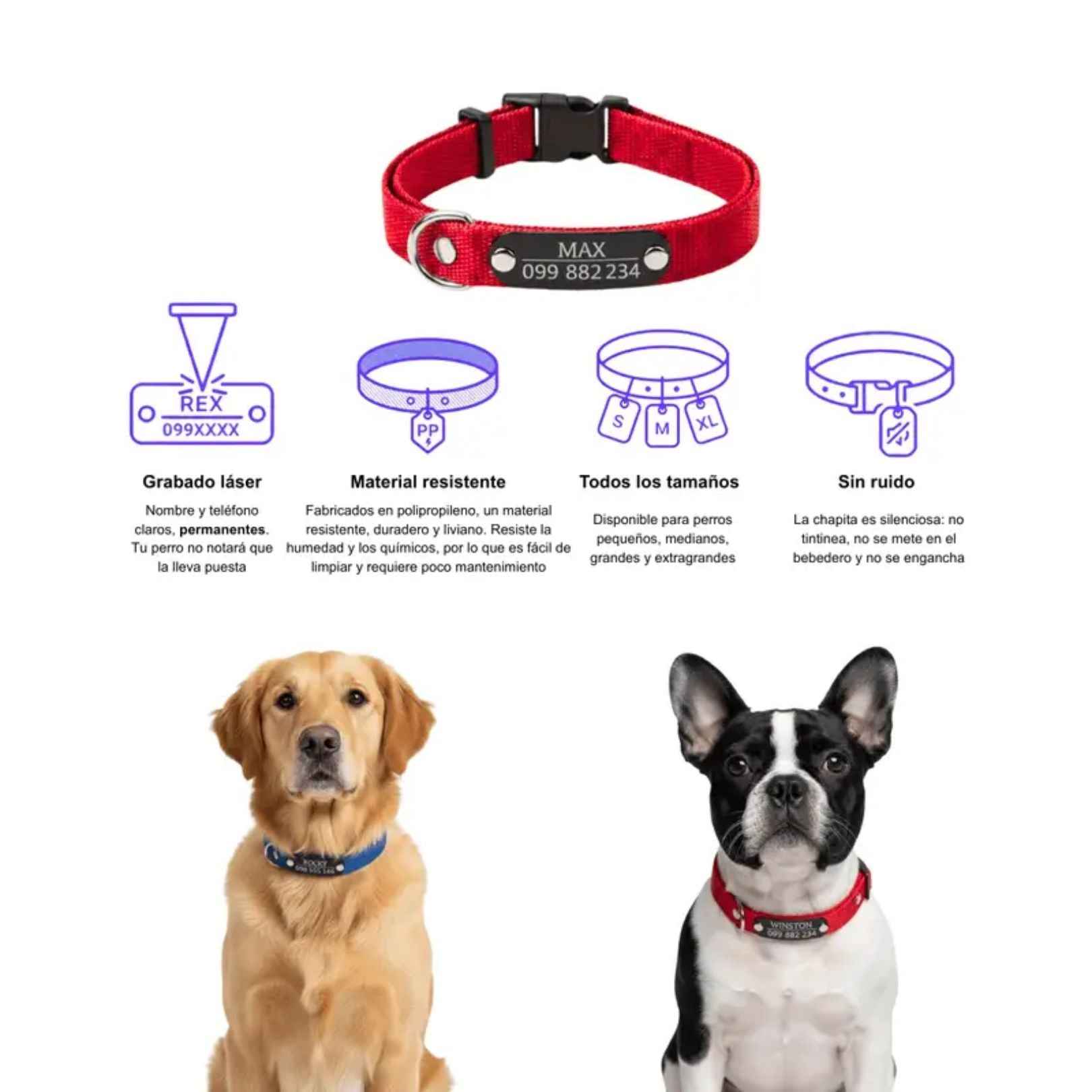 Collar Remachado Básico (Perro)