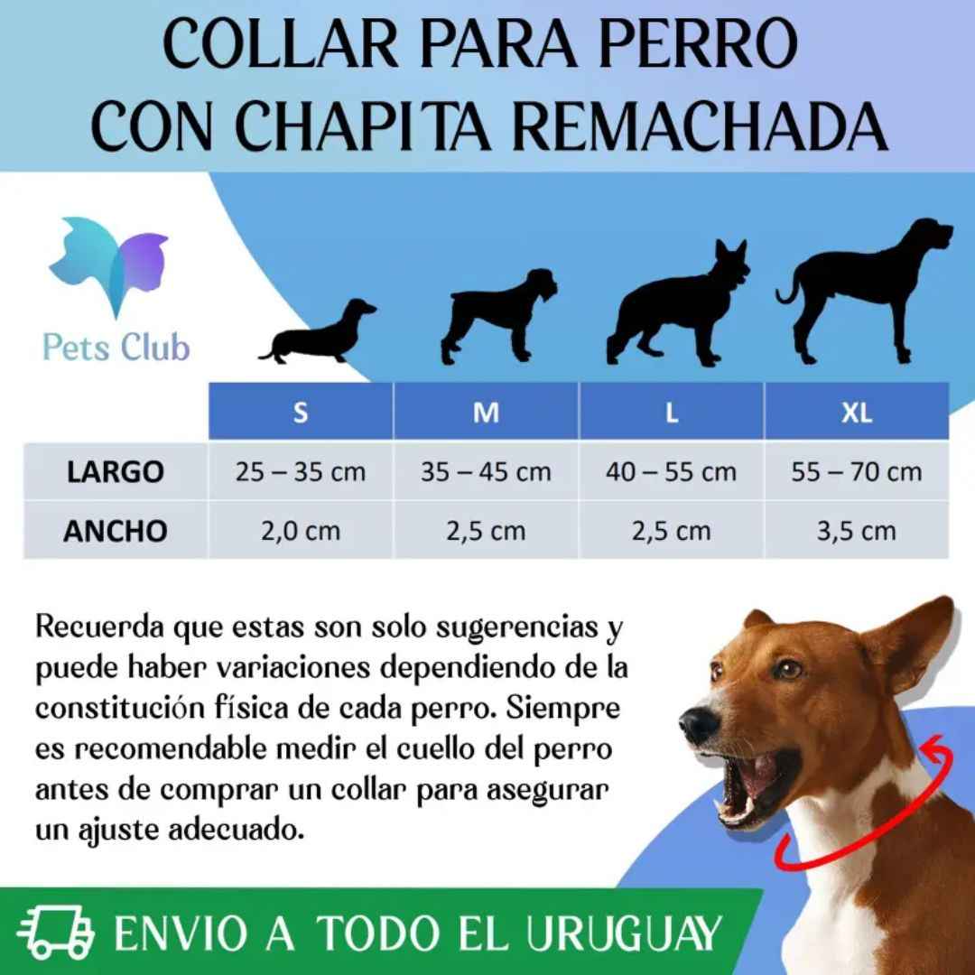 Pack x3 Collares Remachados para Perro