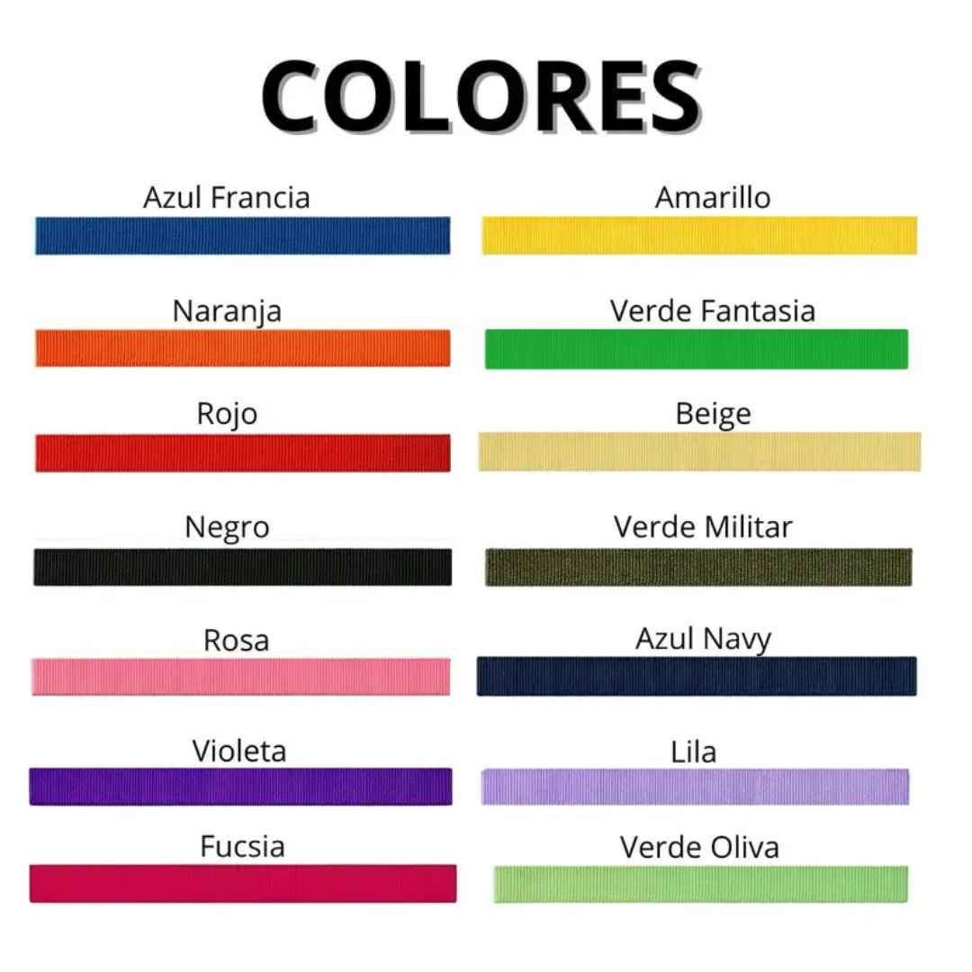 Pack x3 Collares Remachados para Perro