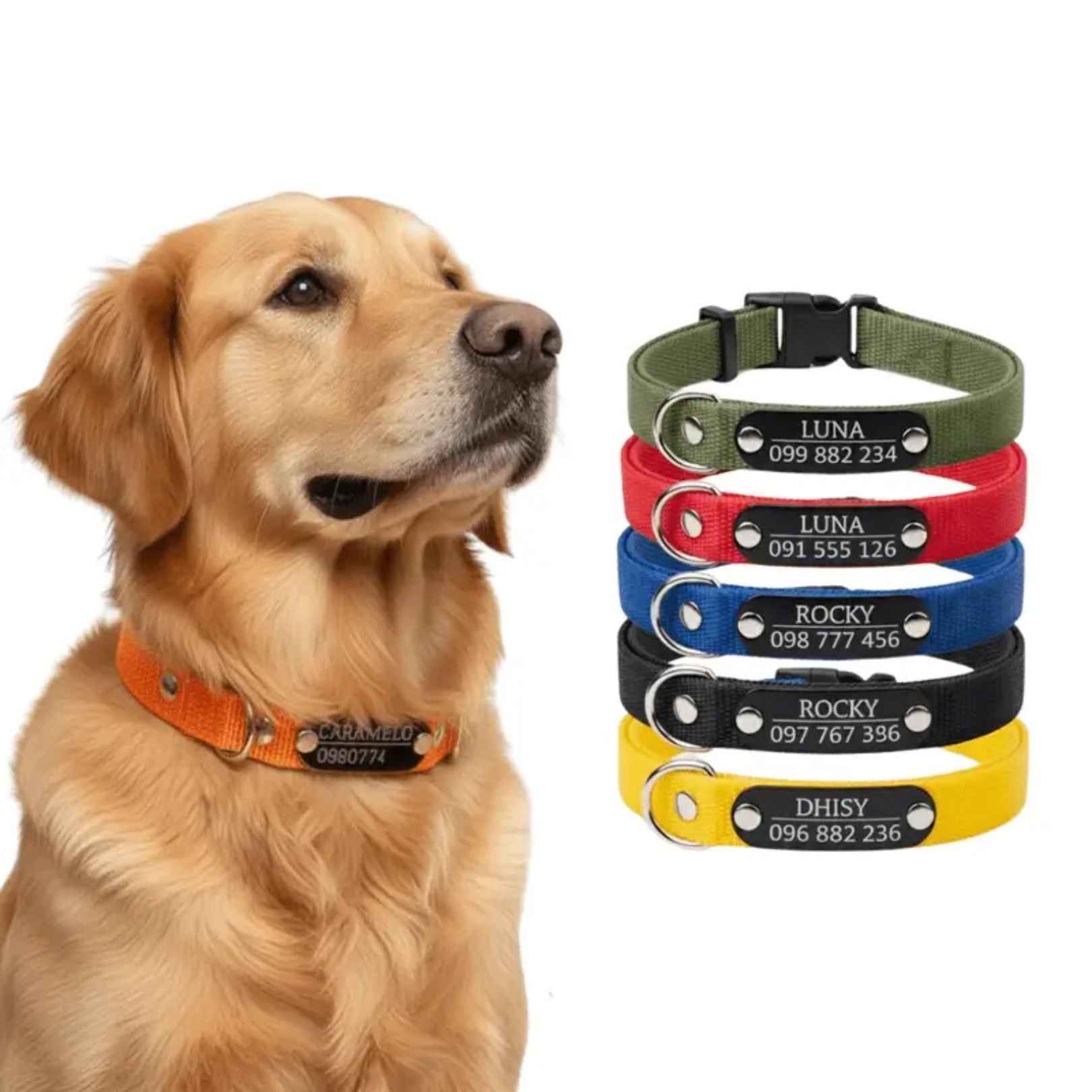 Collar Remachado Básico (Perro)