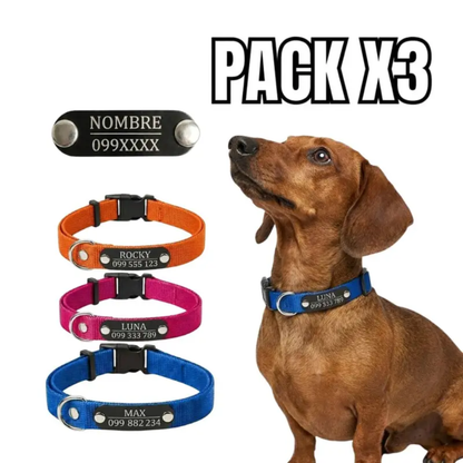 Pack x3 Collares Remachados para Perro