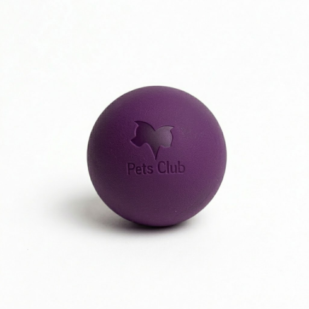 Pelota Maciza Pets Club