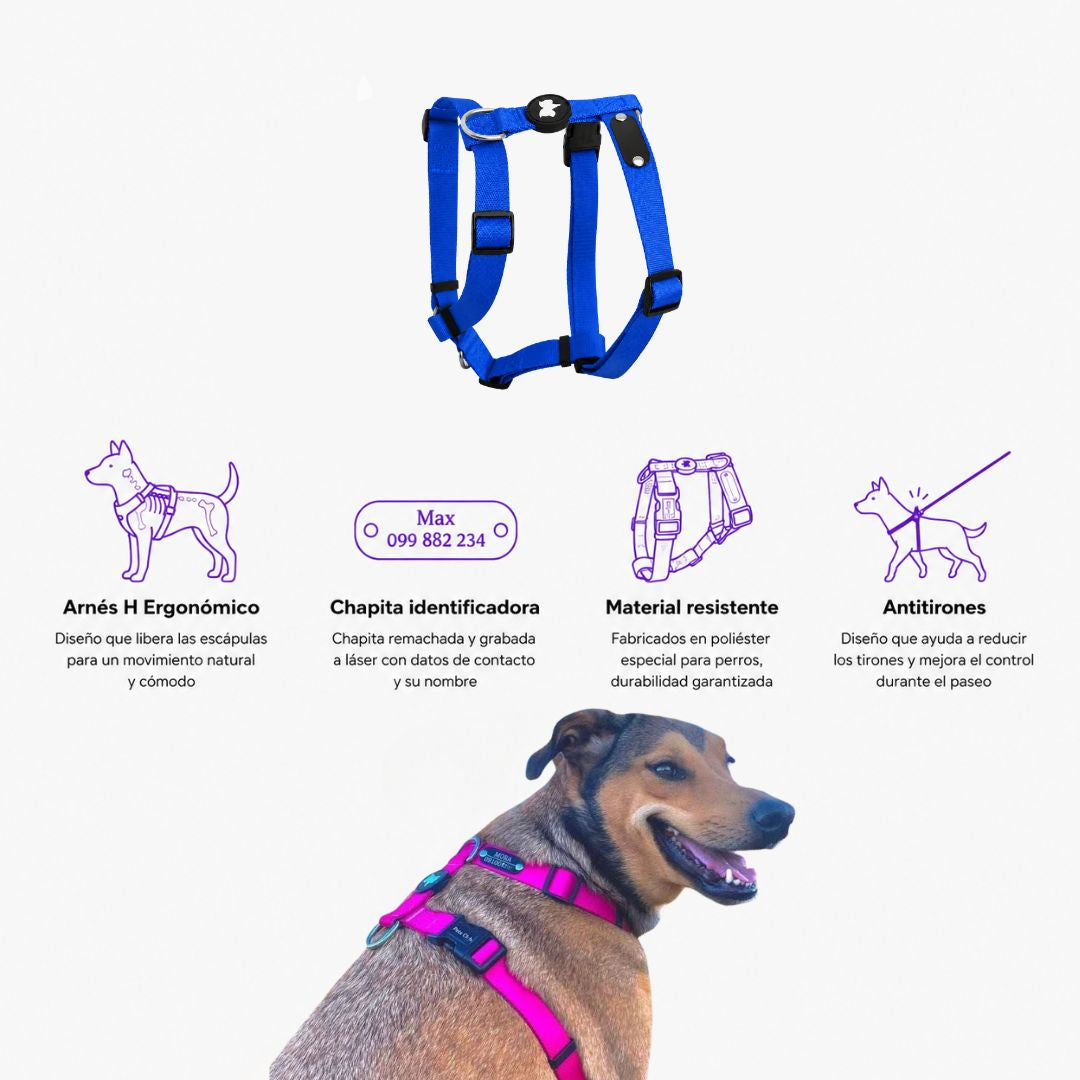 Arnes H Antitirones Pets Club Confort