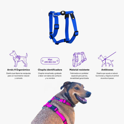 Arnes H Antitirones Pets Club Confort