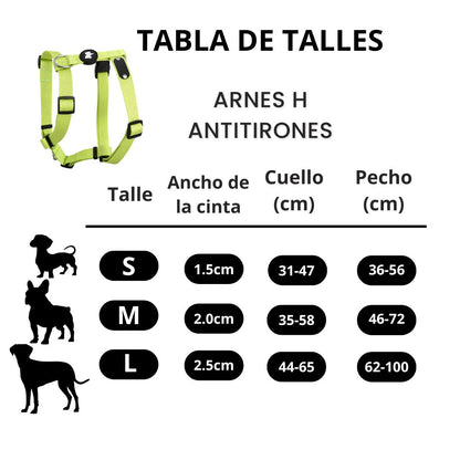 Pack Arnes H + Correa + Collar