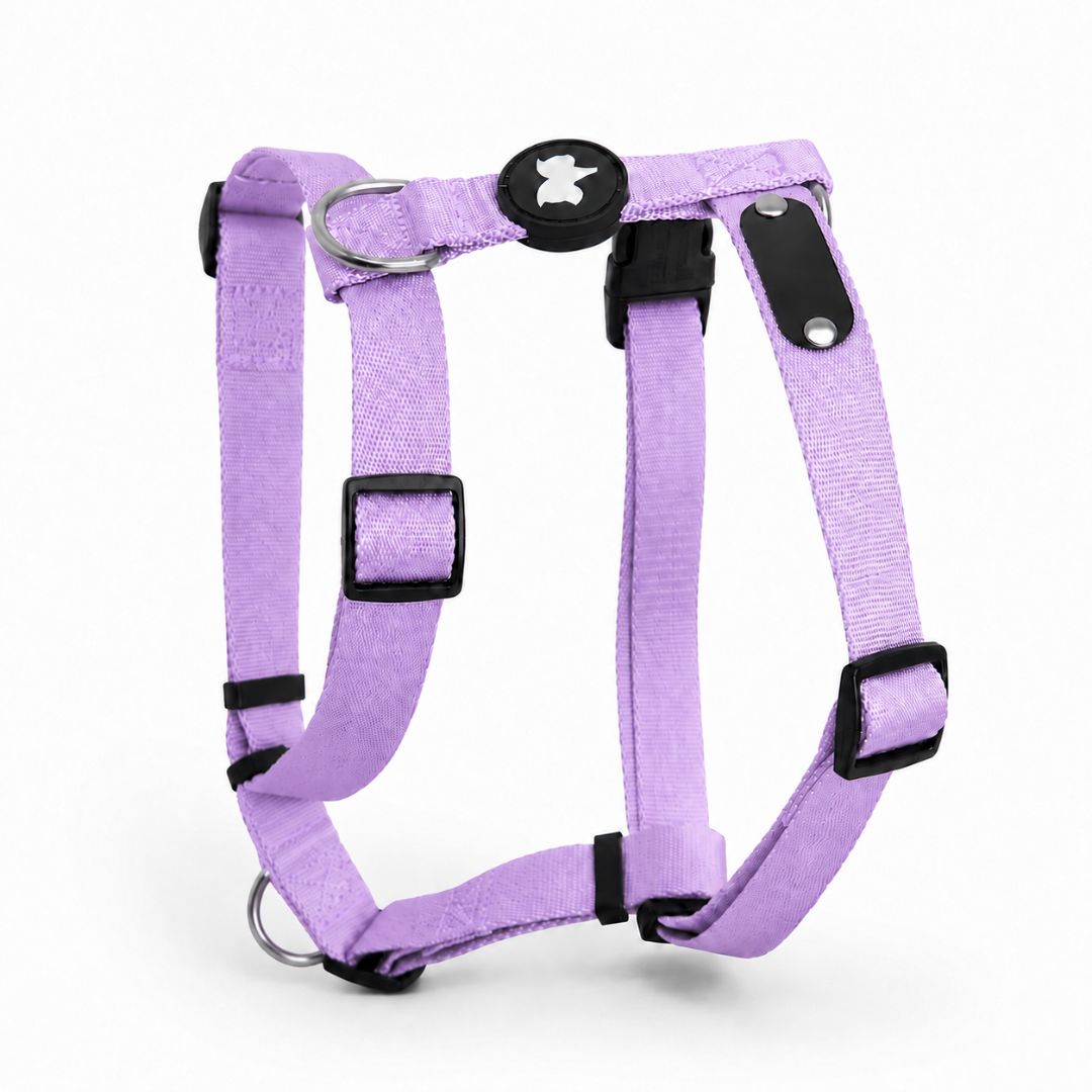 Arnes H Antitirones Pets Club Confort