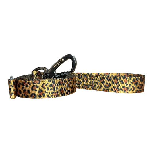 Correa Leopard