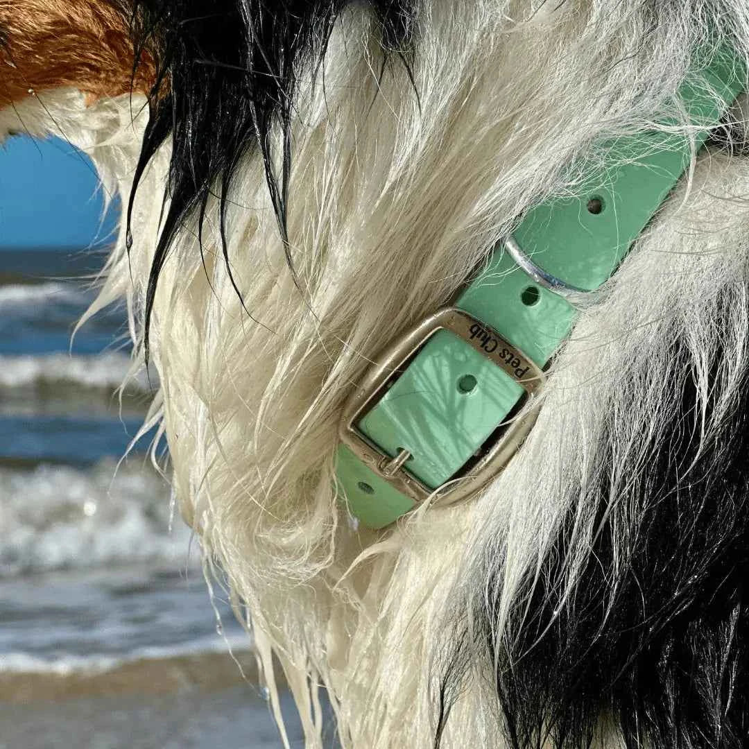 Collar PVC Lavable (Perro)