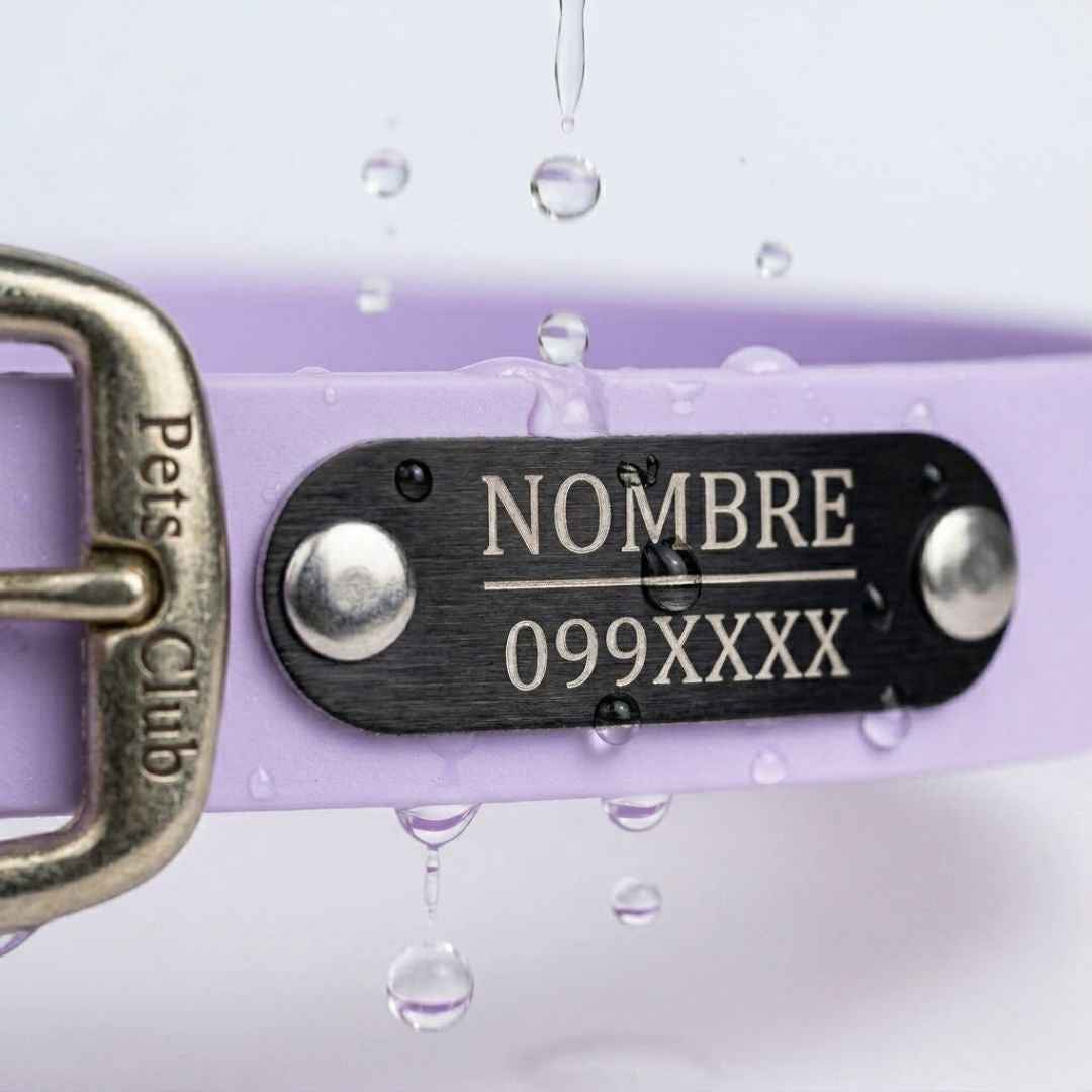 Collar PVC Lavable (Perro)