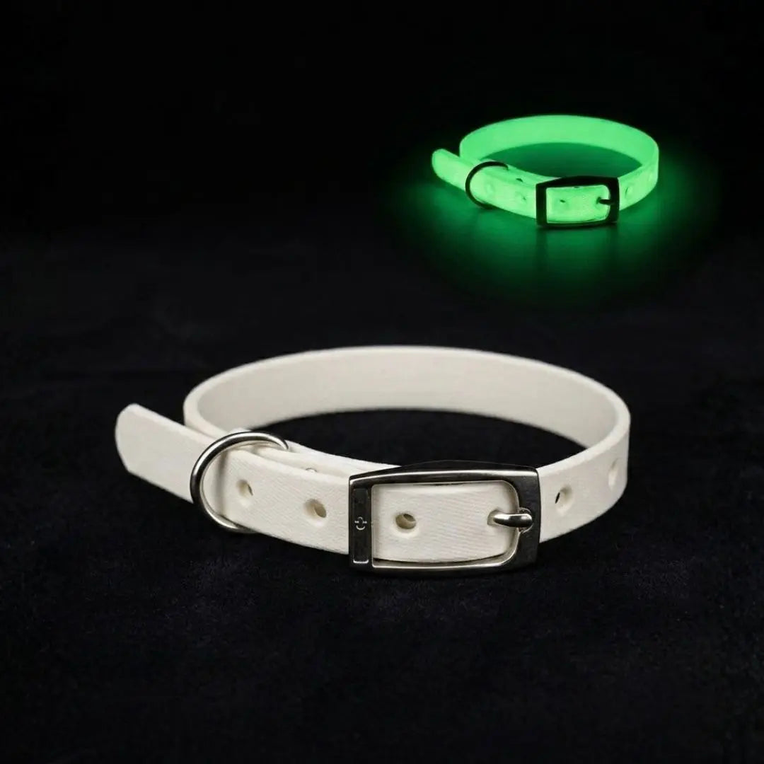 Collar PVC Lavable Tradicional (Gato)