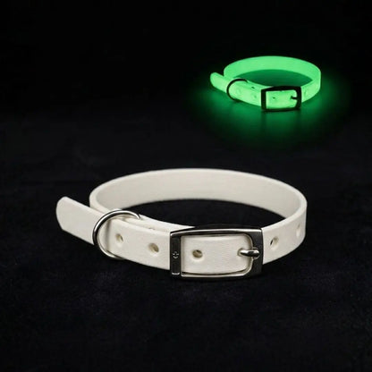 Collar PVC Lavable Tradicional (Gato)