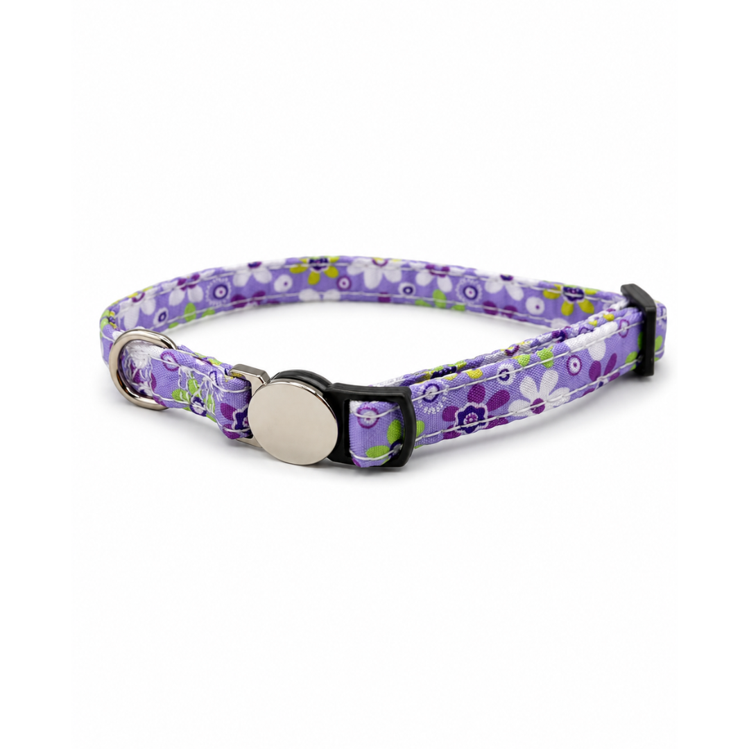 Collar Gato Hebilla Grabada Abrefácil