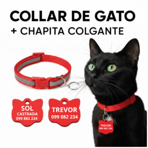 Collar De Gato Con Chapita Colgante