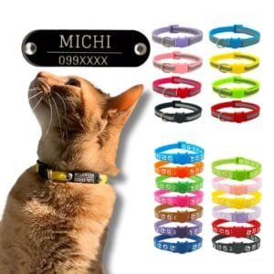 Collar con Chapita Remachada para GATO