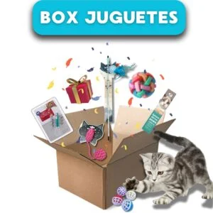 BOX Juguetes Gato