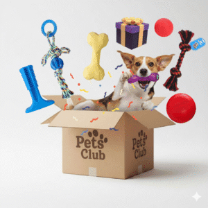 BOX Juguetes Perro