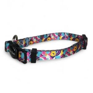 Collar Circus Gato