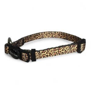 Collar Leopard Gato
