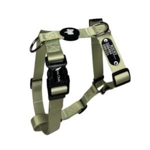 Arnes H Pets Club Confort