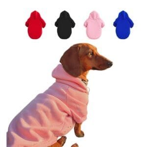 Capita Hoodie Básica