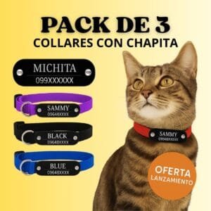 Pack x3 Collares Con Chapita Remachada Gato