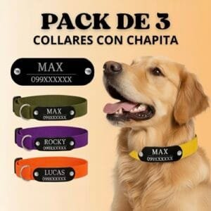 Pack x3 Collares Con Chapita Remachada Perro