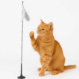 Juguete Gato Antena Ventosa