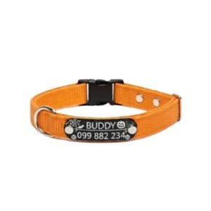 Collar con Chapita Remachada Halloween PERRO