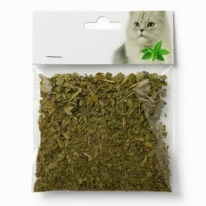 Yerba Gatera 20g